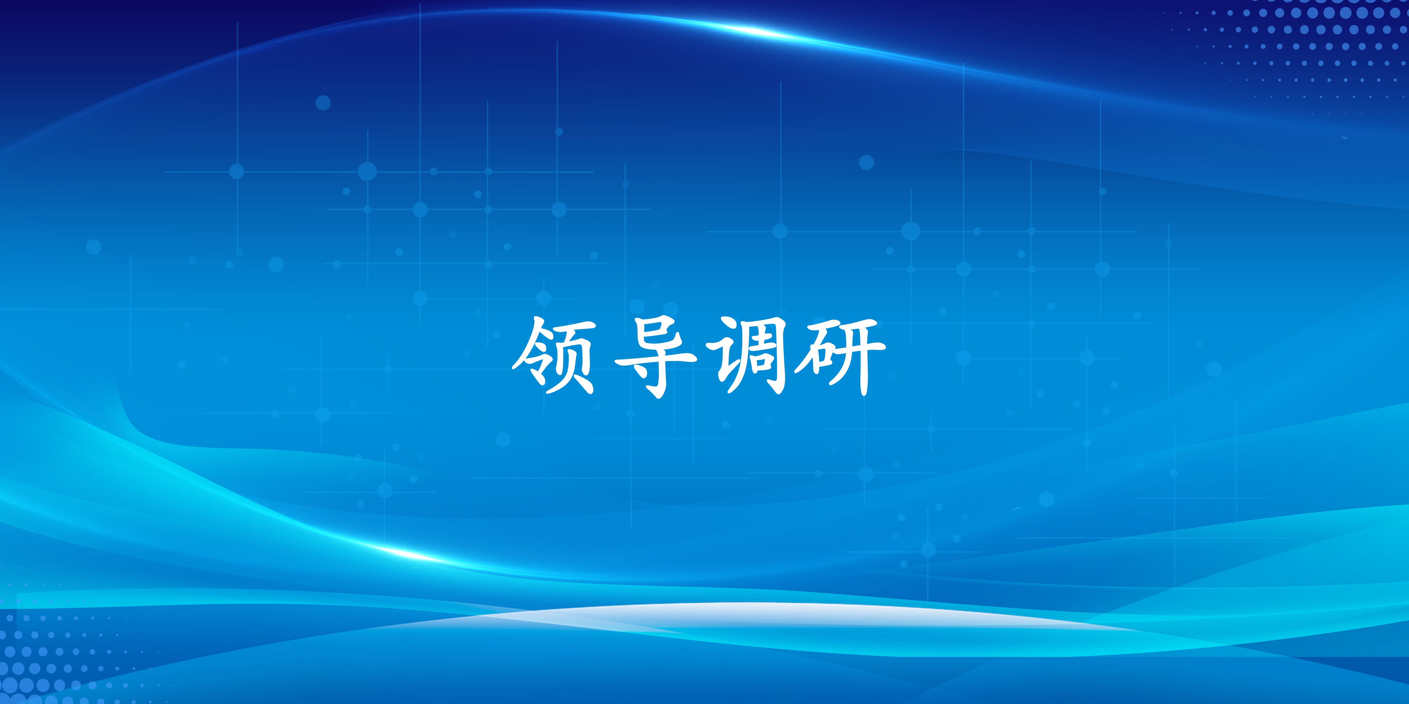 如东县委书记杨万平一行到公司调研