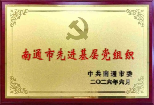 南通市先进基层党组织网站用.jpg